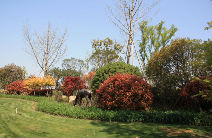 東錢湖“御景灣”景觀工程 東錢湖“御景灣”景觀工程