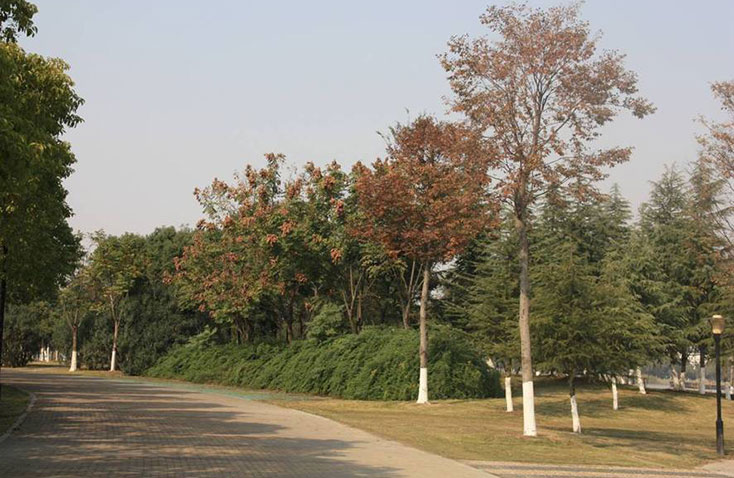 奉化江城防綠地 奉化江城防綠地